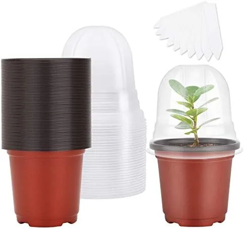 mixc nursery pots category